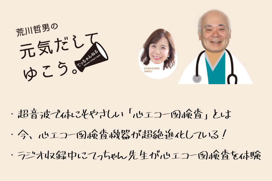 (日経メディカル・ビデオVol.42) 日常診療のための 新・心エコー図検査の… コツだけ